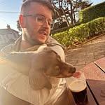Declan Harris - @declanharris94 - Instagram