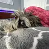 Declan.Harris39 - @nickehthirtystan - TikTok