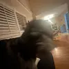 declan.harris - @declan.harris - TikTok