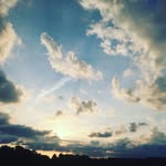 Declan Harrison - @declan_harrison11 - Instagram
