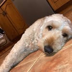 Declan Henry - @declan_henry02 - Instagram