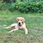Declan Henry - Facebook