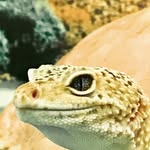 Declan Hill - @declan_hill2468 - Instagram