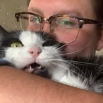 Declan Hines - @cheftaako - Instagram