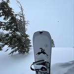 Declan Hines - @deklanhines - Instagram