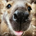 Declan Hobbs - @dechob7277 - Instagram