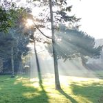 Declan Horan - @declanhoran - Instagram