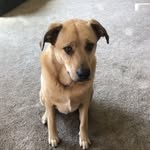 Declan Howe - @declanhowe10 - Instagram