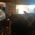 Declan Humphries - @declan_h69 - Instagram