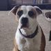 Declan Hurley - Facebook