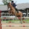 decland_irvine_equestria - @decland_irvine_equestria - TikTok