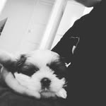 Declan James - @declan_james_ - Instagram