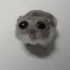 Declan James - @declan.james8 - TikTok