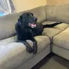 Declan3 - @declan.johnson45 - TikTok
