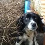 Declan Kenny - @declankenny50 - Instagram