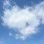 Declan - @declan_koch8 - Instagram