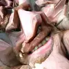 Declan__ lewis - @declanlewis891 - TikTok