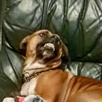Deccylovell - @declan_lovell_ - Instagram