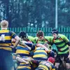 Declan Flynn - @declanflynn2000 - TikTok