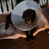 ….. - @declanmacdonaldsss - TikTok