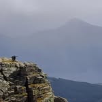 Declan Mackay - @mackaydeclan - Instagram