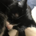 Declan mann - @declan9639 - Instagram