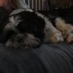 Declanmansfield - @declanmansfied - Instagram