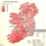 Declan McCoy - Facebook