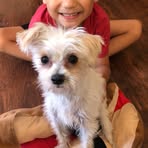 Declan McDaniel - Facebook