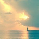 Declan McDaniel - @declan_mcdaniel - Instagram