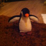 Declan Mcdermott - @p.i.n.g.u_ - Instagram