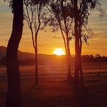 Declan McDonagh - @dec376 - Instagram