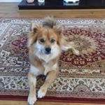 Declan McDonagh - @deckers0000 - Instagram