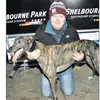 declanmcdonagh53 - @declanmcdonagh53 - TikTok