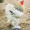 declanmcgarry235 - @declanmcgarry235 - TikTok