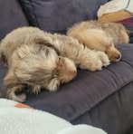 Declan Mckee - Facebook