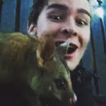 Declan Meyer - @declan_mayo - Instagram