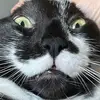 Declan_Meyers - @declan_meyers - TikTok