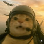 Declan Miller - @nuggetseal - Instagram