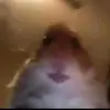 declanmonahan9 - @declanmonahan9 - TikTok