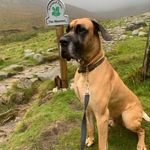 Declan Morgan - @morgandeclan - Instagram