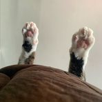 Declan Morrow - Facebook