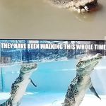 Declan mueller - @declanmue - Instagram