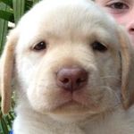 Declan Muldoon - @humpha.muldoon - Instagram