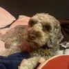 Declan - @declan_mullins - TikTok