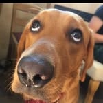 Declan Mullins - @mullins_declan - Instagram