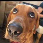 Declan Mullins - Facebook