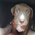 Declan Nielsen - Facebook