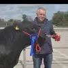 declannolan - @declannolan - TikTok