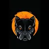 declannorris3 - @declannorris3 - TikTok